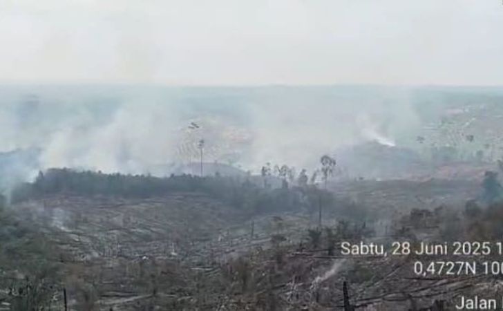 Petugas-Kesulitan-Padamkan-Api-di-Kampar-dan-Rohul.jpg