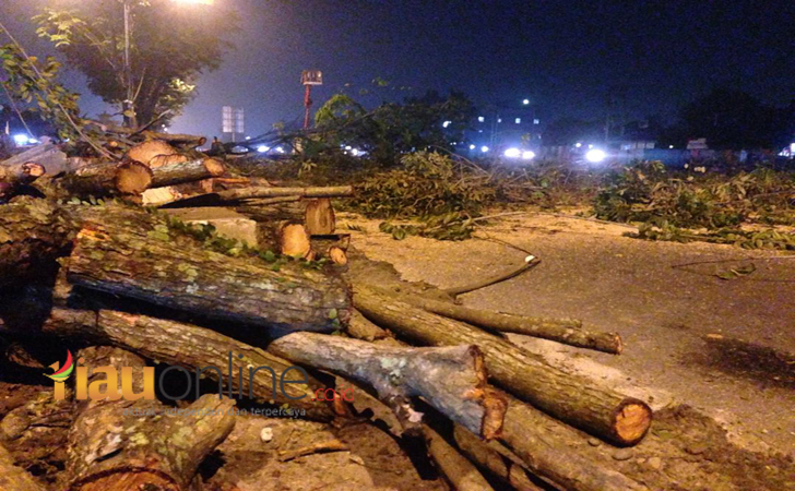 Petugas-tebang-pohon5.jpg