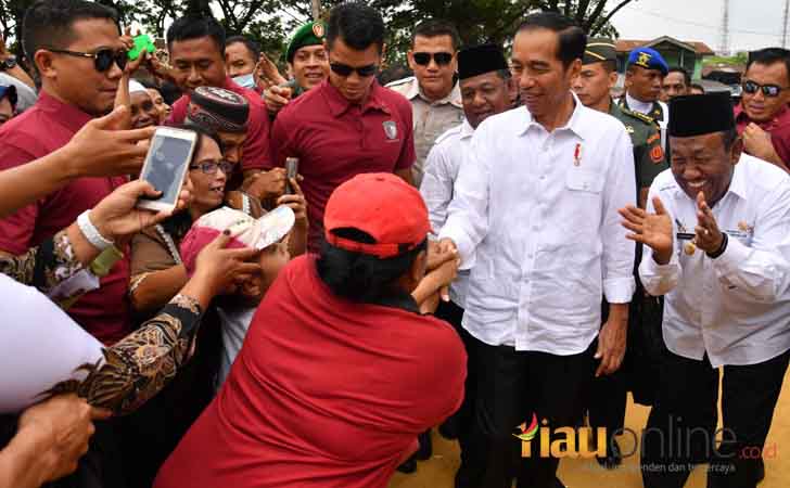 Plt-Gubernur-Riau-dan-Jokowi.jpg