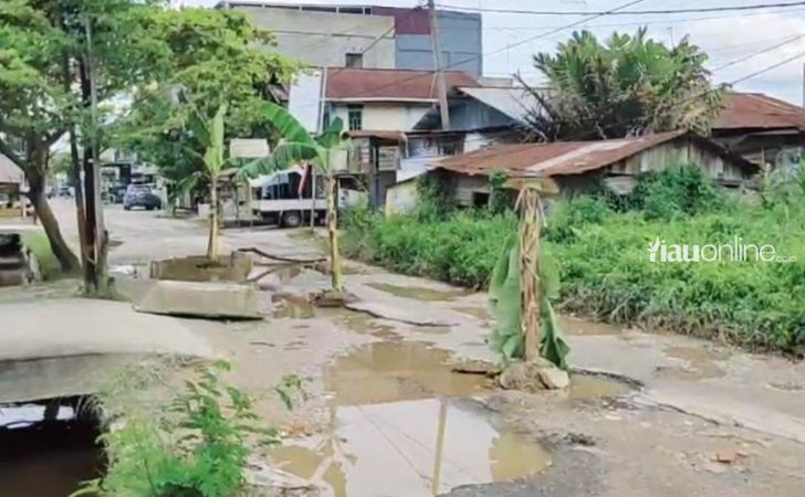 Pohon-Pisang-di-jalan-rusak.jpg