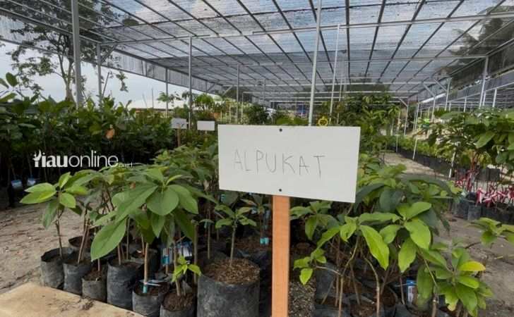 Polda-Riau-Dorong-Pelestarian-Lingkungan-Lewat-Bank-Pohon.jpg