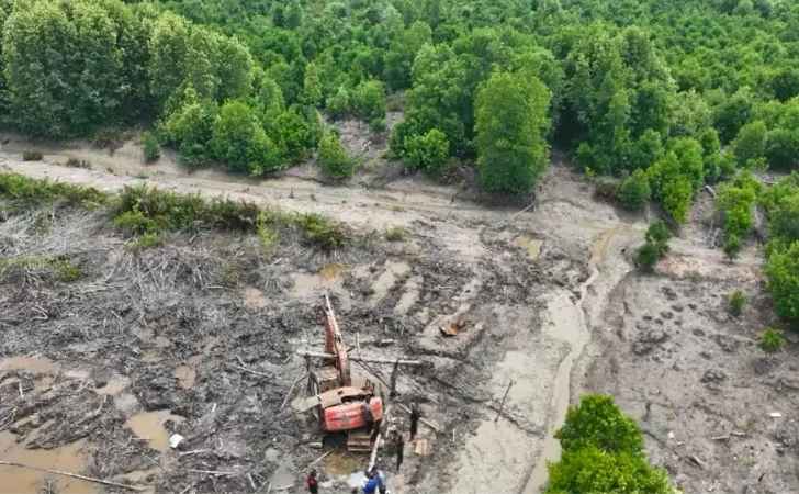 Polda-Riau-Menindak-11177-Hektare-Mangrove-Dumai-yang-Diduga-Dirambah.jpg