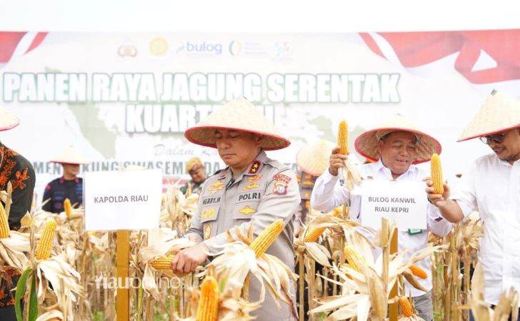 Polda-Riau-Panen-18-Ton-Jagung-dari-Lahan-82-Hektare.jpg