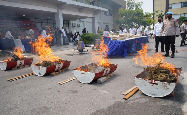 Polda-Riau-musnahkan-ganja1.jpg