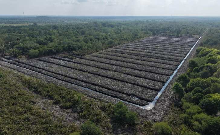 Polisi-Amankan-Dua-Ekskavator-Diduga-Dipakai-Babat-Hutan-Mangrove-di-Rohil.jpg