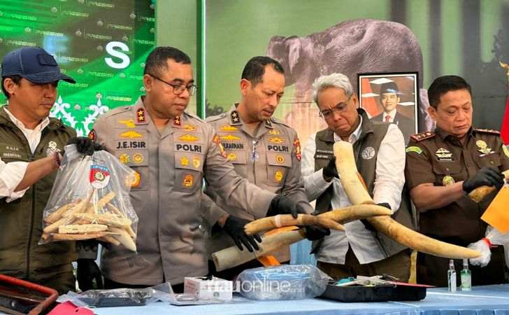 Polisi-Ungkap-Peran-Pelaku-dalam-Sindikat-Gading-Gajah-Sejak-2024.jpg
