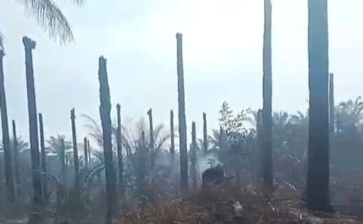 Polres-Siak-Selidiki-Penyebab-Lahan-PT-BMI-Terbakar-7-Orang-Saksi-Diperiksa.jpg