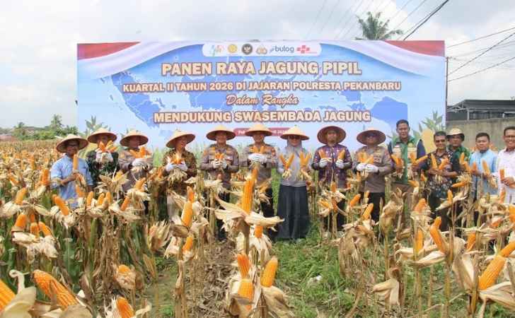 Polsek-Kulim-Panen-Raya-Jagung-Dukung-Swasembada-Pangan-Nasional.jpg