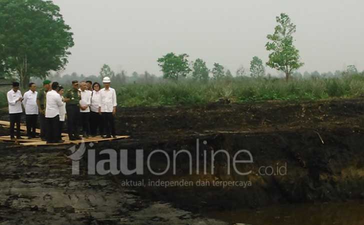 Presiden-Jokowi-Tinjau-Lahan-Terbakar.jpg