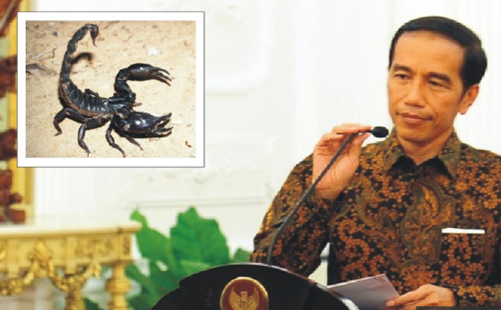 Presiden-Jokowi-dan-Kalajengking.jpg