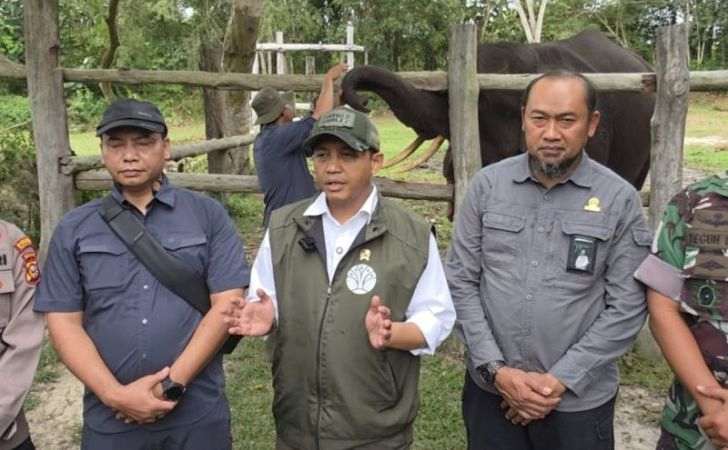 Raja-Juli-Janji-Restorasi-Tesso-Nilo-dan-Relokasi-394-KK.jpg
