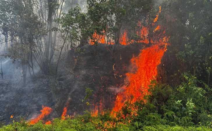 Riau-Darurat-Karhutla-Kabut-Asap-Lintasi-Batas-Negara-Hingga-ke-Malaysia.jpg