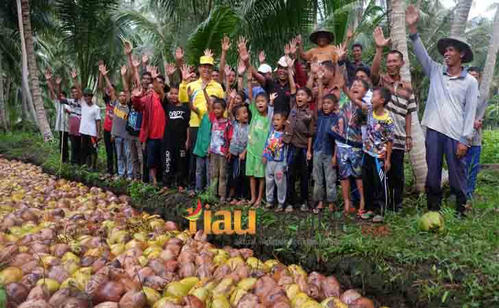 Salam-Kelapa.jpg