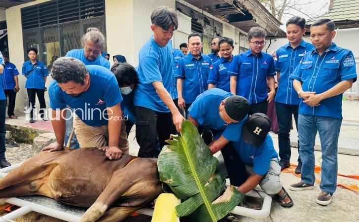 Semangat-Berbagi-di-Hari-Raya-Kurban-Demokrat-Pekanbaru-Potong-85-Ekor-Sapi.jpg