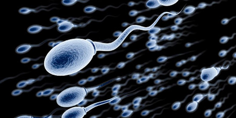 Sperma.jpg