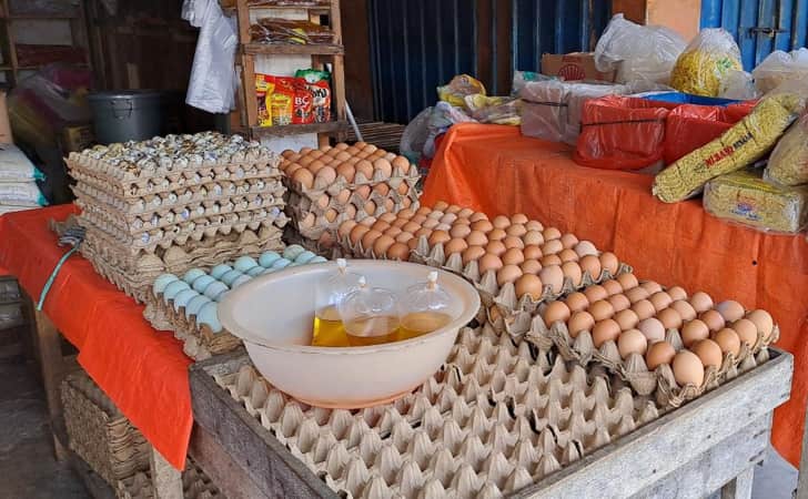 Telur-Ayam5.jpg