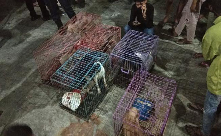 Tiga-bocah-tidur-dengan-anjing.jpg