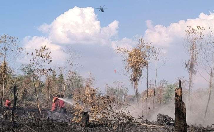 Tim-Gabungan-Lakukan-Pendingin-Karhutla-di-Karya-Indah-6-Saksi-Diperiksa.jpg