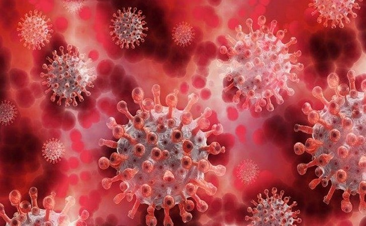 Virus-Ilustrasi.jpg