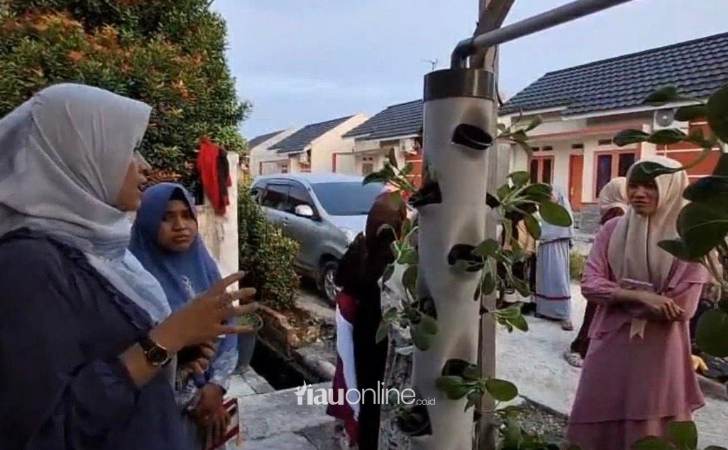 Warga-Pekanbaru-Manfaatkan-Pekarangan-untuk-Tanam-Sayuran.jpg