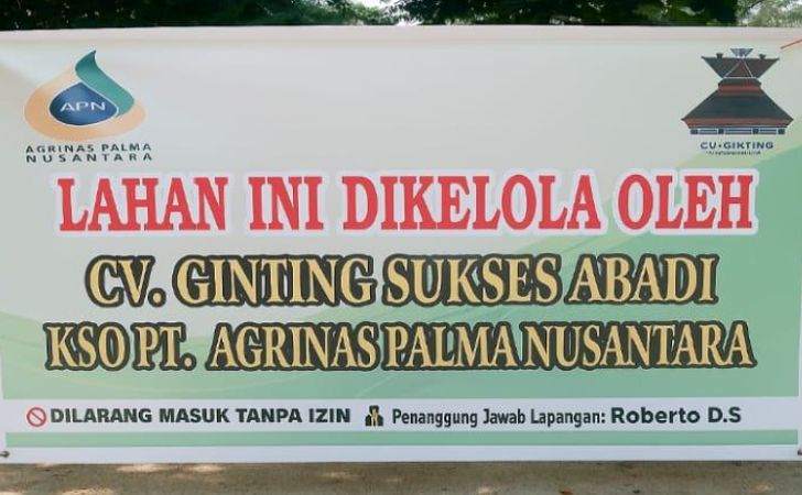 Warga-Resah-Kelompok-Misterius-Mengaku-PT-APN-Panen-Sawit-di-Kota-Lama.jpg