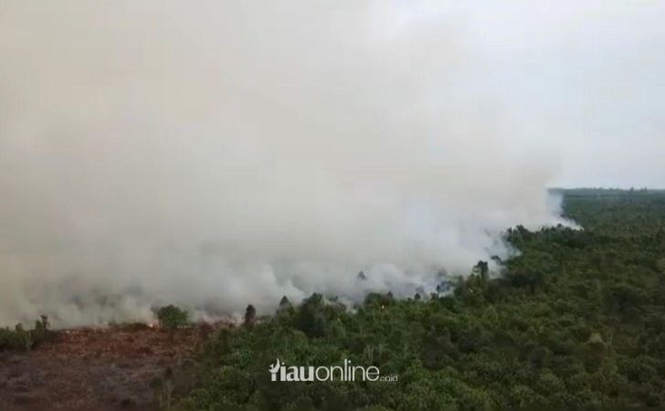 Warga-Sebut-Kebakaran-Hutan-di-Bengkalis-Sudah-Dua-Pekan.jpg