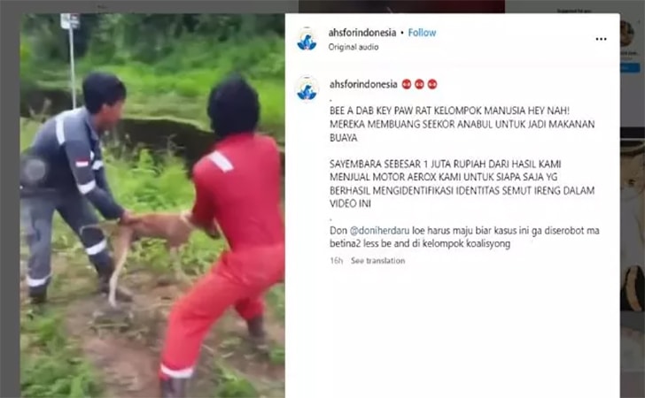 anjing-dilempar-untuk-buaya.jpg