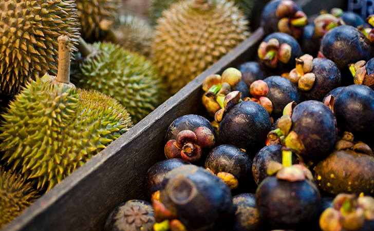 durian-dan-manggis.jpg