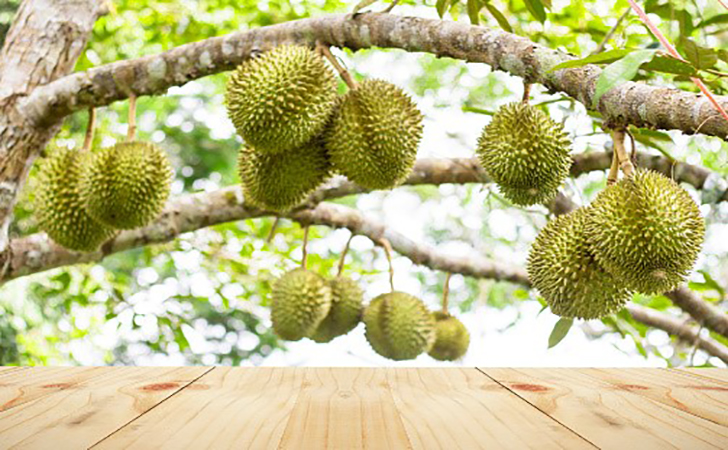 durian3.jpg