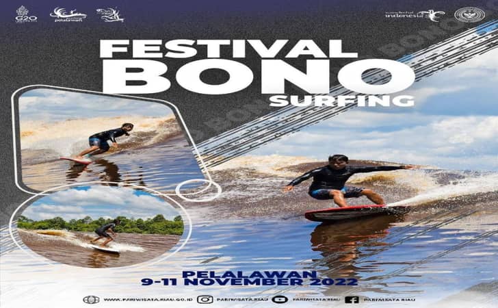 festival-Bono-Surfing.jpg