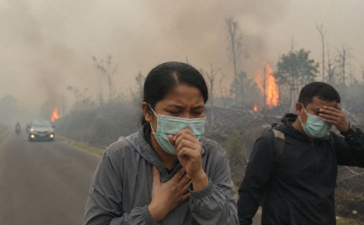 ilustrasi-gangguan-kesehatan-saat-karhutla.jpg