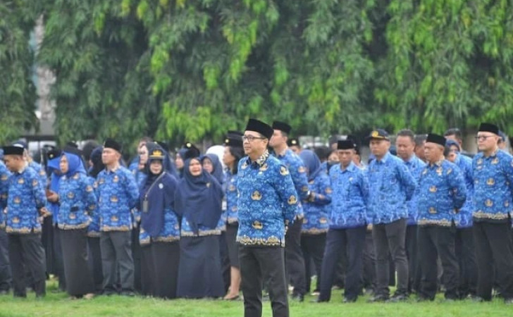 ilustrasi-pelantikan-pppk.jpg