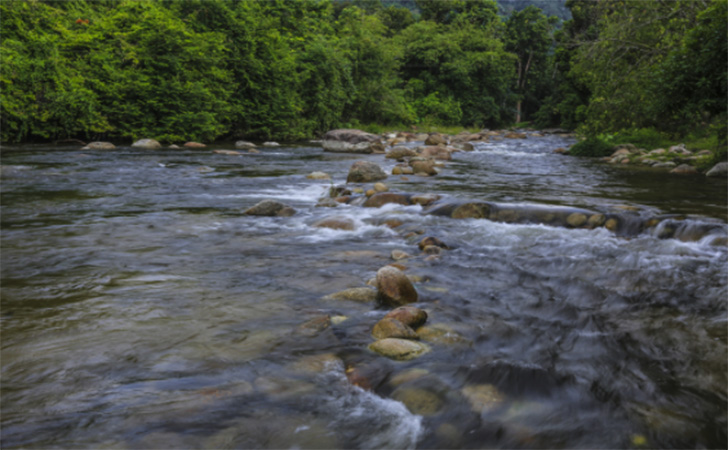 ilustrasi-sungai.jpg