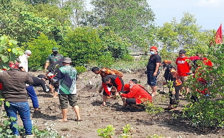pdip-tanam-mangrove.jpg