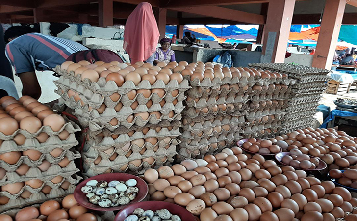 penjual-telur3.jpg