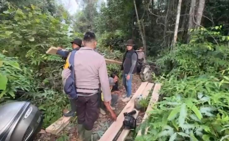 polisi-mengamankan-pelaku-ilegal-logging.jpg