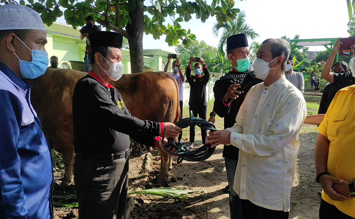 sapi-jokowi.jpg