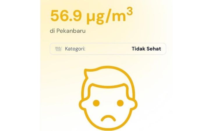 udara-pekanbaru-tak-sehat.jpg