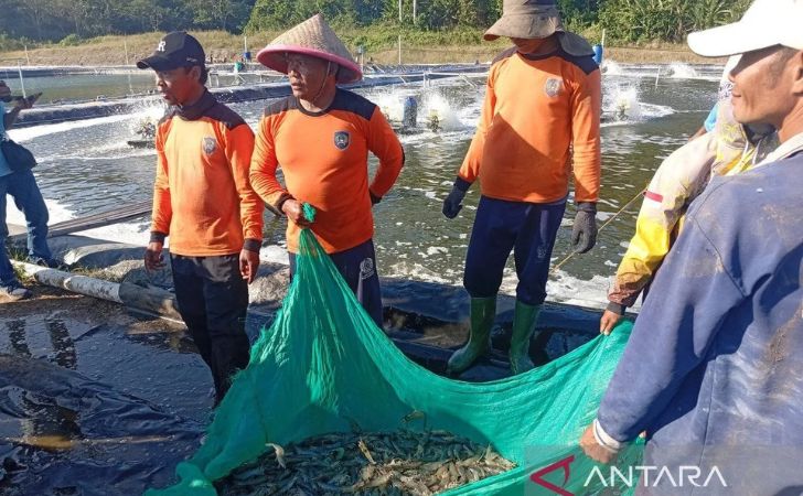 warga-binaan-memanen-udang.jpg