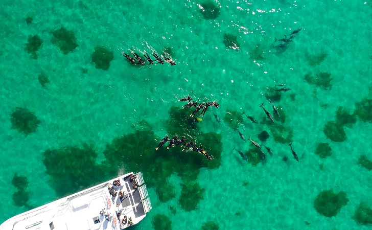 wisata-di-australia.jpg