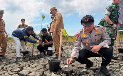 118-Hektare-Mangrove-Dirusak-Kapolda-Riau-Pimpin-Aksi-Penanaman-Kembali-di-Rohil.jpg