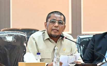 Arisal-Aziz4.jpg