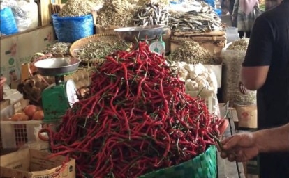 Kendalikan Inflasi, Muflihun Ajak Masyarakat Tanam Cabai di Pekarangan