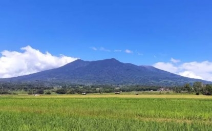 Erupsi Gunung Marapi Renggut 23 Nyawa, 52 Orang Berhasil Selamat