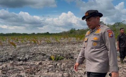 Kapolda-Riau-Tinjau-Dugaan-Perusakan-118-Hektare-Mangrove-dengan-Alat-Berat-di-Rohil.jpg
