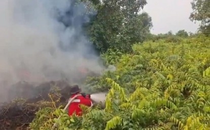 Lahan Gambut di Tapung Terbakar, Tim Pemadam Dikepung Asap dan Minim Air