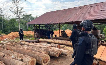 Kayu-olahan-ilegal2.jpg