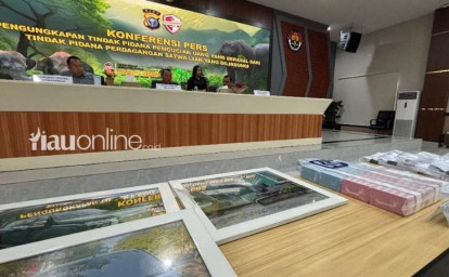 Kejar-Aliran-Uang-Mafia-Gading-Polda-Riau-Sita-Uang-Rp650-Juta-hingga-Alat-Berat.jpg
