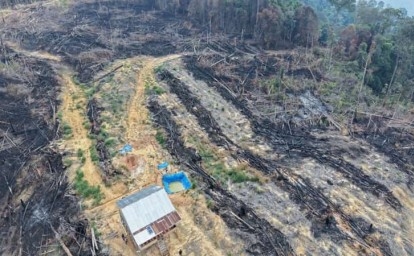 10 Ha Hutan di Rohul Dibakar, 3 Pelaku Ditangkap