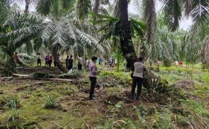 Lokasi-tulang-manusia-di-siak.jpg